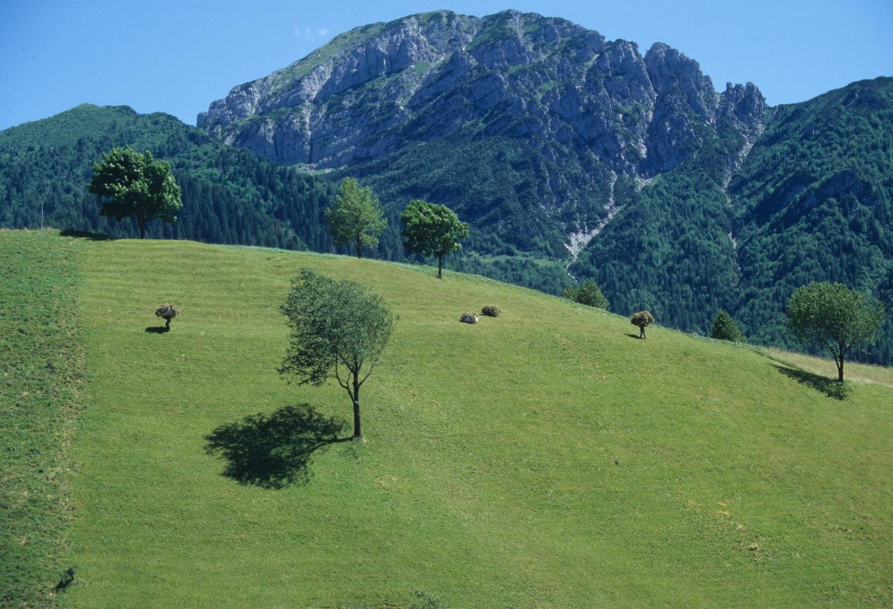 Albergo Belvedere Collio Kültér fotó